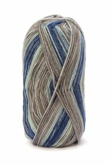 DMC Knitty pop-480