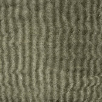 0-22817.027 Corduroy-Teddy