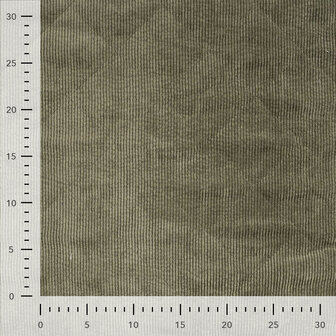 0-22817.027 Corduroy-Teddy