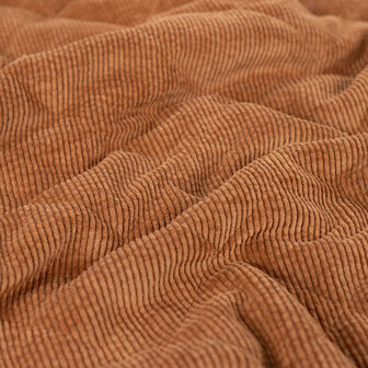 0-22817.057 Corduroy-Teddy