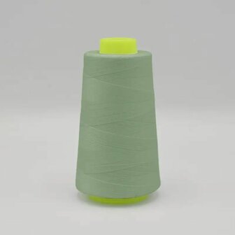 Overlock garen 221 Pastel Mint