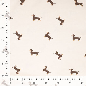 1-10392.521 Jersey Dachshund