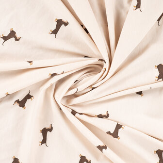 1-10392.521 Jersey Dachshund
