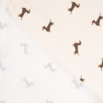 1-10392.521 Jersey Dachshund