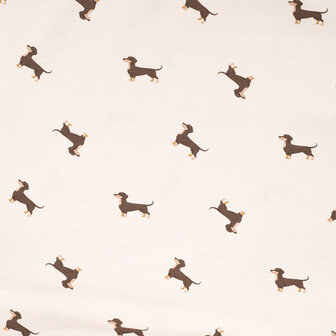 1-10392.521 Jersey Dachshund