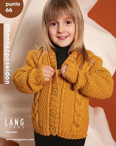 Breiboek Punto 66 Lang Yarns