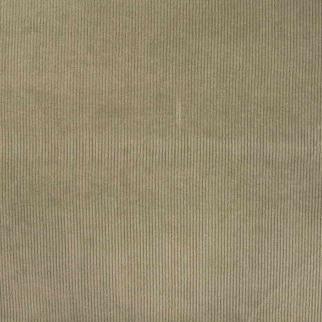  0-0344.270 Jersey Ribcord