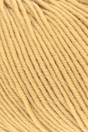 Merino 120 Lang Yarns-311