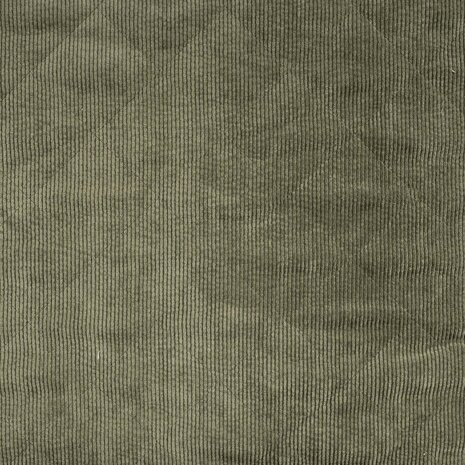 0-22817.027 Corduroy-Teddy