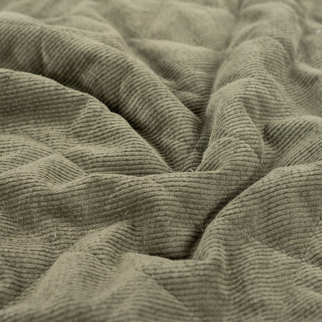 0-22817.027 Corduroy-Teddy