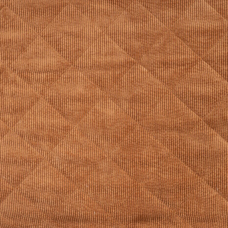 0-22817.057 Corduroy-Teddy