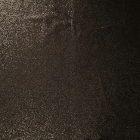 0-22758.750 Velour met foil