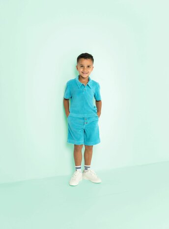 0-47101.930 Pico Terry