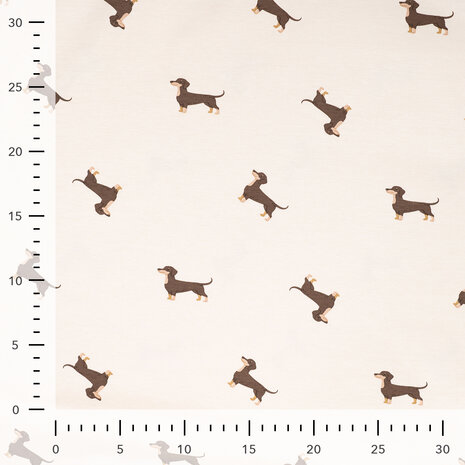 1-10392.521 Jersey Dachshund