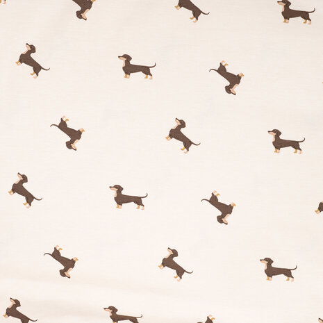 1-10392.521 Jersey Dachshund