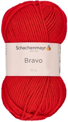 Bravo–8221 Feuer