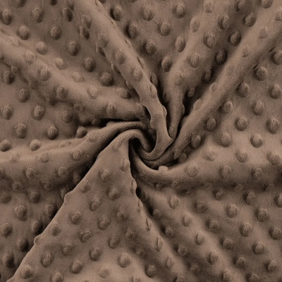 6-Minky Fleece Nop-058