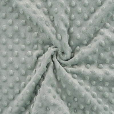 6-Minky Fleece-122 Nop