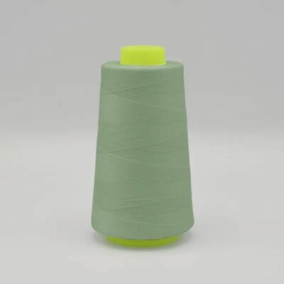 Overlock garen 221 Pastel Mint